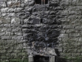 0009_DSCN0829