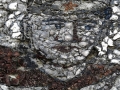 0012_DSCN1243