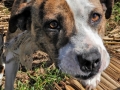 0013_DSCN1283