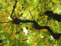 001-lugano-niluka-laura-telli-luganophotodays-2013