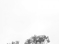 0005-Helmut-Pullmanns-2014