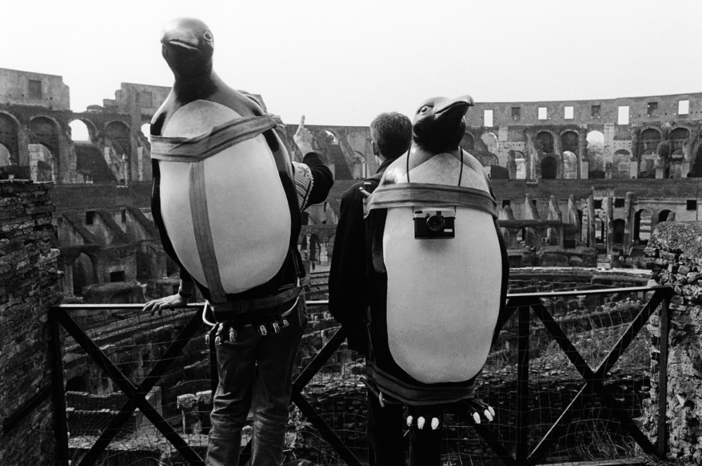 Penguins in the Colosseum, Rome, Italy - 1991