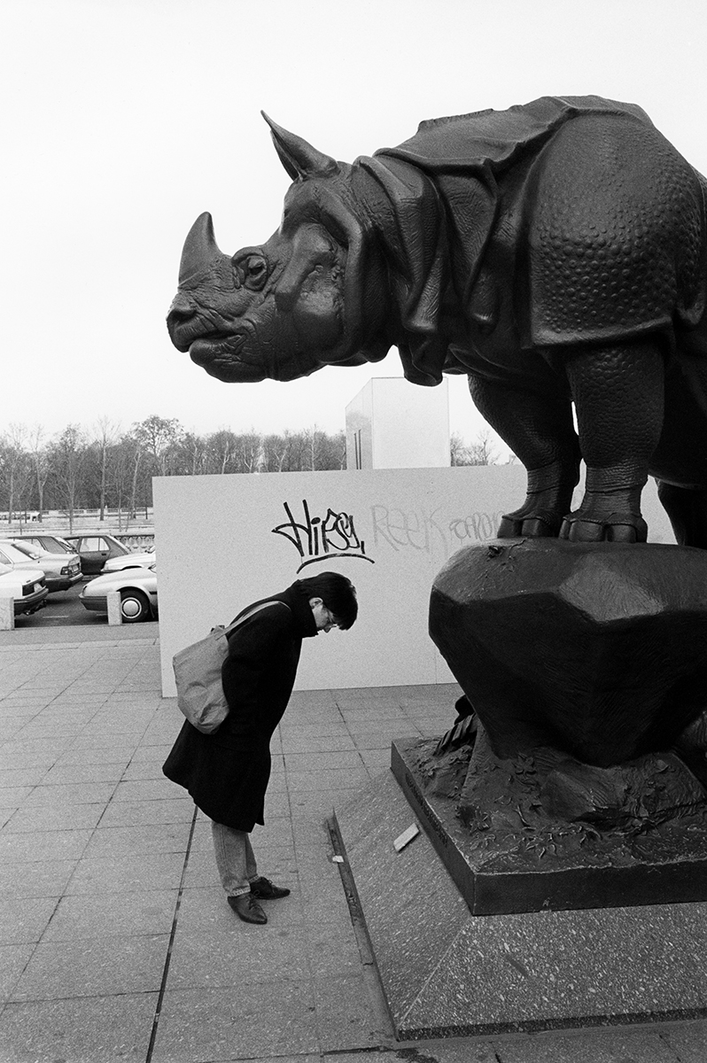 Rhinoceros, Musée d'Orsay, Paris, France - 1988