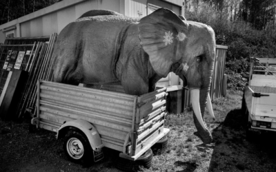 Le Temps – Didier Ruef, l’année 2020 en 366 poses en noir et blanc