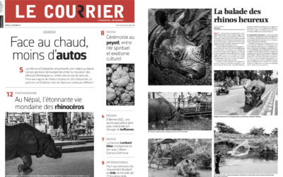 Le Courrier – La ballade des rhinos heureux