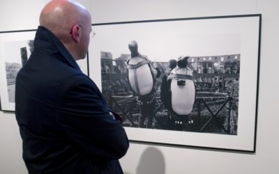 “Animals’ world” photo exhibit